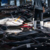 20230717-shiogama-fish-market-00193