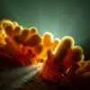 20211026_dead_mans_hand_00005