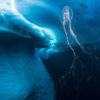 20180331_iceberg_dive_00143_wide_1