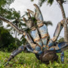 20180914_coconut_crab_catch_00058