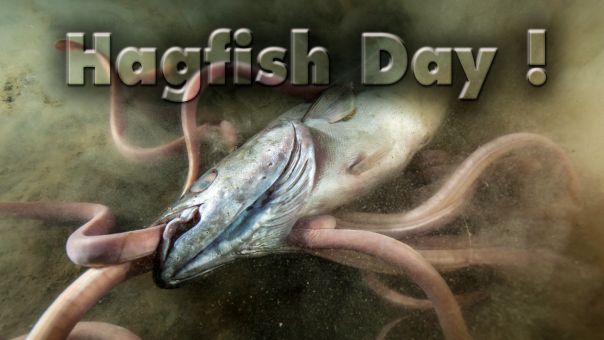 Hagfish Day
